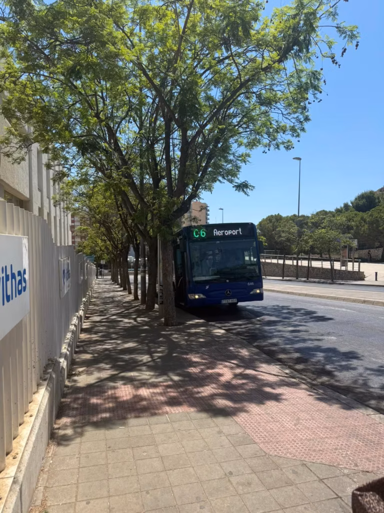 Tranvía y autobuses cerca